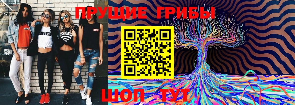 Галлюциногенные грибы GOLDEN TEACHER Кыштым