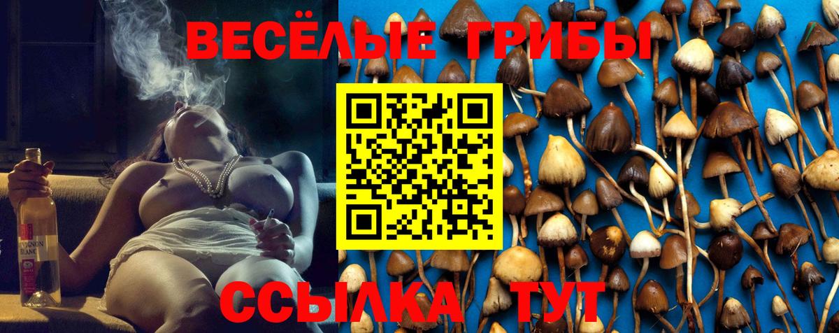 Галлюциногенные грибы ЛСД  Вход с VPN  Галлюциногенные грибы мицелий  Кыштым 